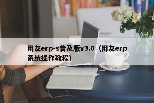 用友erp-s普及版v3.0（用友erp系统操作教程）