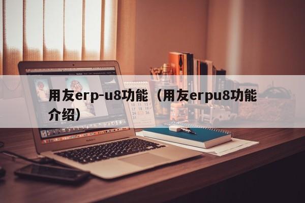 用友erp-u8功能（用友erpu8功能介绍）