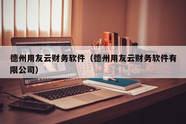 德州用友云财务软件（德州用友云财务软件有限公司）