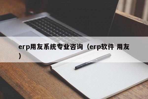 erp用友系统专业咨询（erp软件 用友）