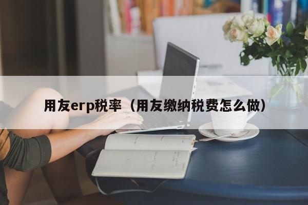 用友erp税率（用友缴纳税费怎么做）