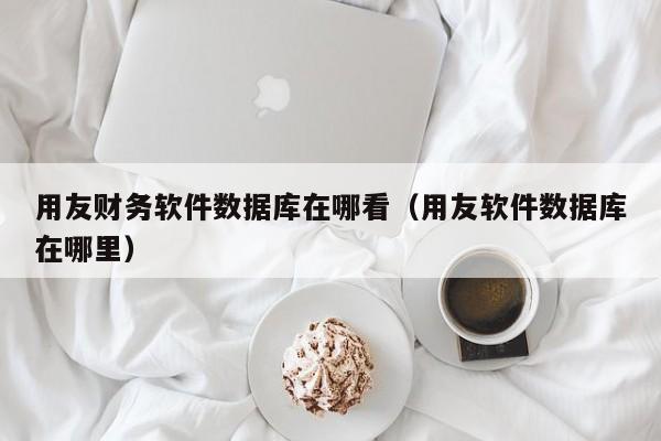 用友财务软件数据库在哪看（用友软件数据库在哪里）