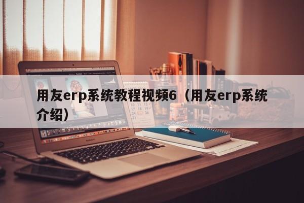 用友erp系统教程视频6（用友erp系统介绍）