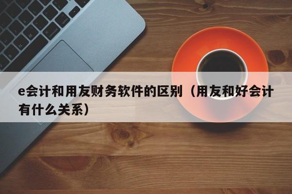 e会计和用友财务软件的区别（用友和好会计有什么关系）