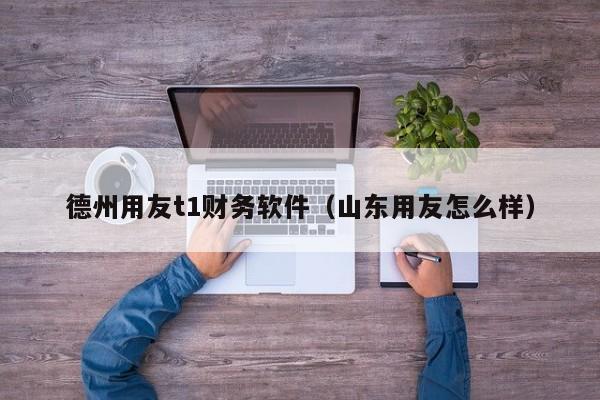 德州用友t1财务软件（山东用友怎么样）