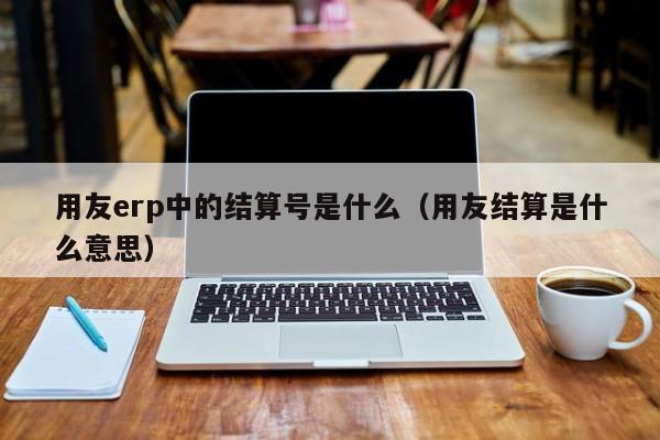 用友erp中的结算号是什么（用友结算是什么意思）