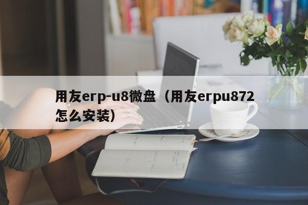 用友erp-u8微盘（用友erpu872怎么安装）