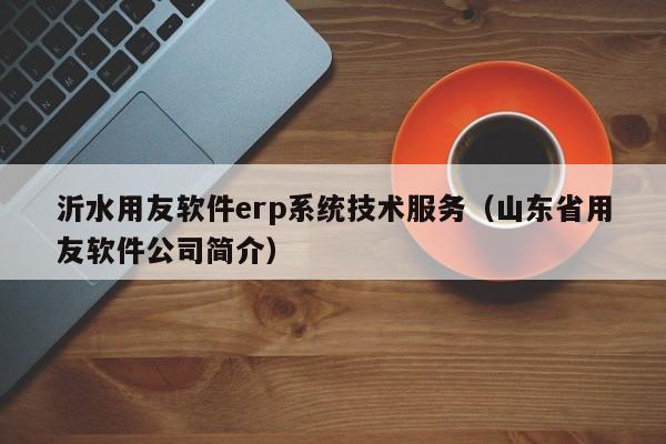 沂水用友软件erp系统技术服务（山东省用友软件公司简介）