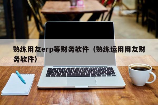 熟练用友erp等财务软件（熟练运用用友财务软件）