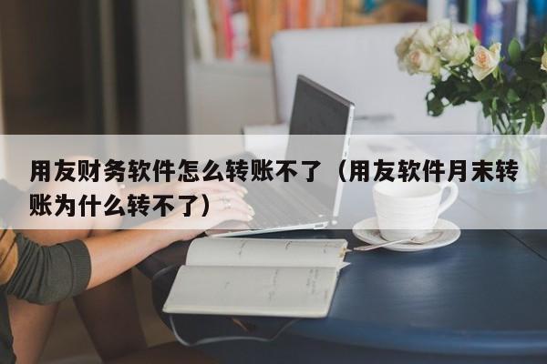 用友财务软件怎么转账不了（用友软件月末转账为什么转不了）
