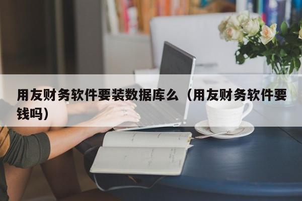 用友财务软件要装数据库么（用友财务软件要钱吗）