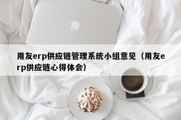 用友erp供应链管理系统小组意见（用友erp供应链心得体会）