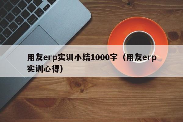 用友erp实训小结1000字（用友erp实训心得）