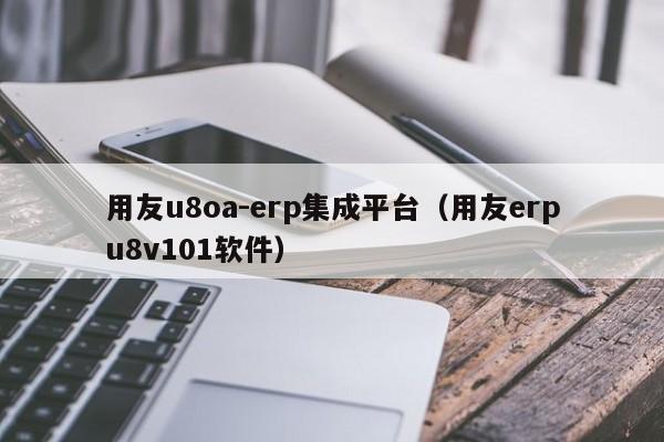 用友u8oa-erp集成平台（用友erpu8v101软件）