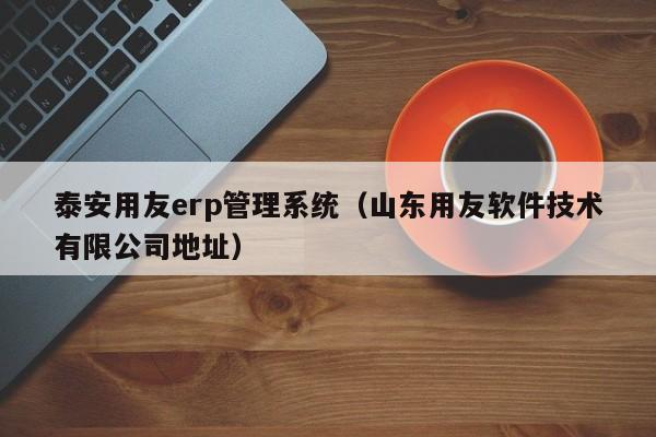 泰安用友erp管理系统（山东用友软件技术有限公司地址）