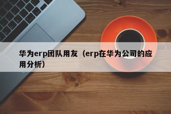 华为erp团队用友（erp在华为公司的应用分析）