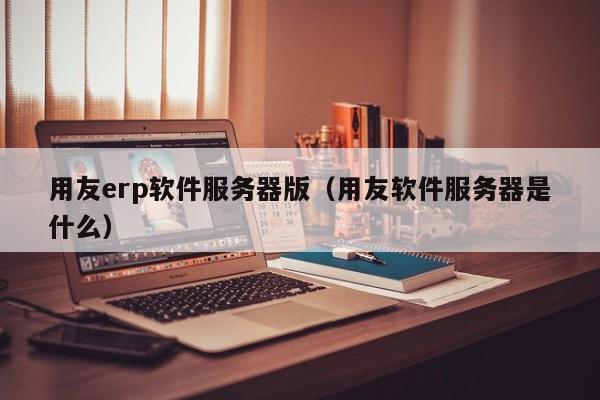 用友erp软件服务器版（用友软件服务器是什么）
