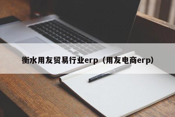 衡水用友贸易行业erp（用友电商erp）