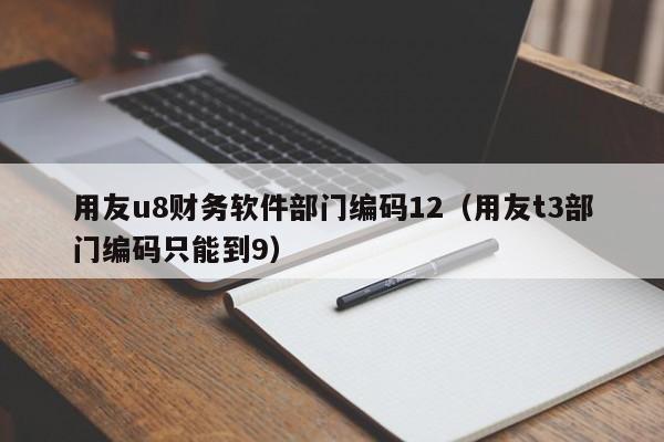 用友u8财务软件部门编码12（用友t3部门编码只能到9）