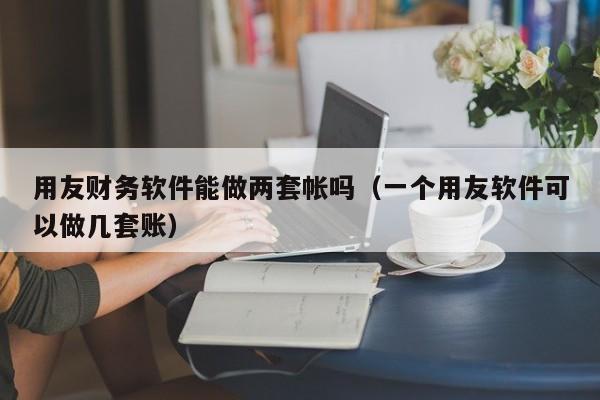 用友财务软件能做两套帐吗（一个用友软件可以做几套账）