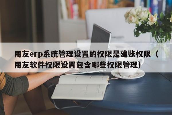 用友erp系统管理设置的权限是建账权限（用友软件权限设置包含哪些权限管理）