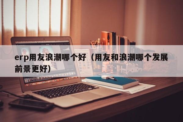 erp用友浪潮哪个好（用友和浪潮哪个发展前景更好）
