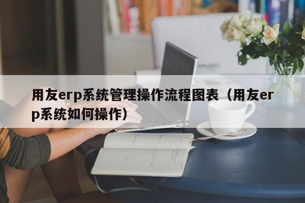 用友erp系统管理操作流程图表（用友erp系统如何操作）