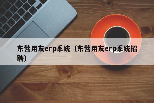 东营用友erp系统（东营用友erp系统招聘）