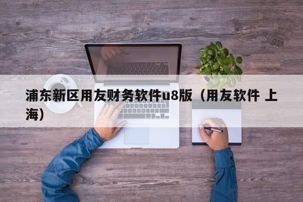 浦东新区用友财务软件u8版（用友软件 上海）