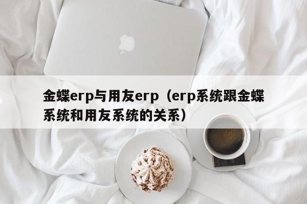金蝶erp与用友erp（erp系统跟金蝶系统和用友系统的关系）