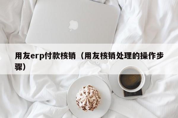 用友erp付款核销（用友核销处理的操作步骤）