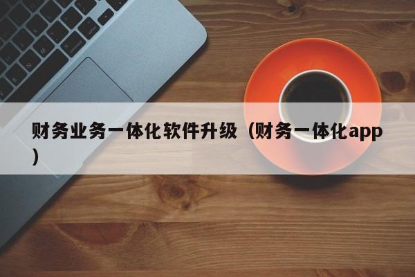 财务业务一体化软件升级（财务一体化app）