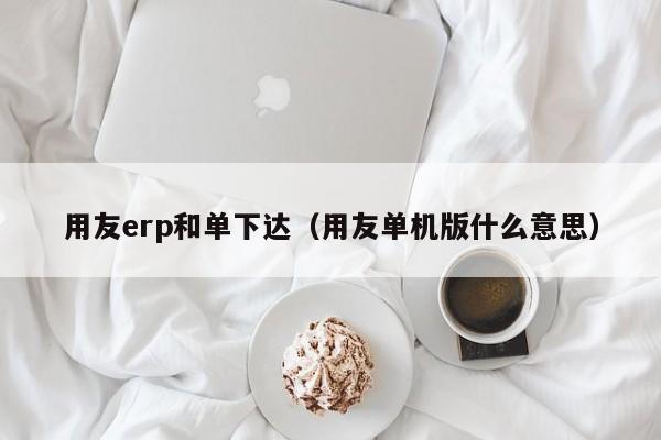 用友erp和单下达（用友单机版什么意思）