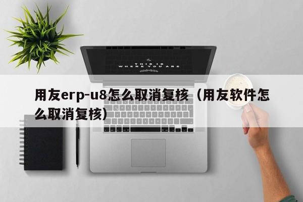 用友erp-u8怎么取消复核（用友软件怎么取消复核）