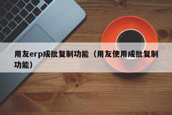 用友erp成批复制功能（用友使用成批复制功能）