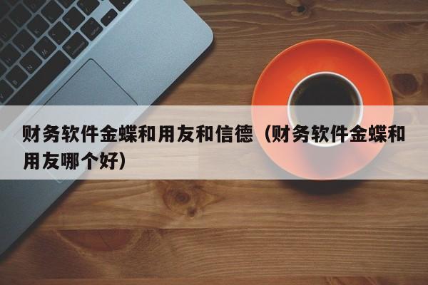 财务软件金蝶和用友和信德（财务软件金蝶和用友哪个好）