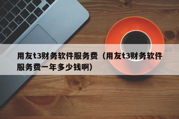 用友t3财务软件服务费（用友t3财务软件服务费一年多少钱啊）