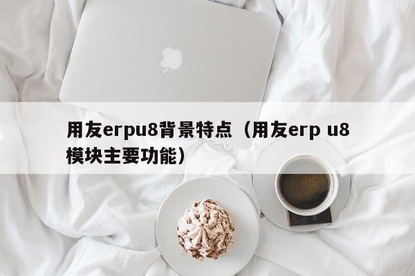 用友erpu8背景特点（用友erp u8模块主要功能）
