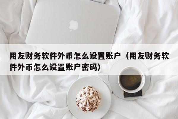 用友财务软件外币怎么设置账户（用友财务软件外币怎么设置账户密码）