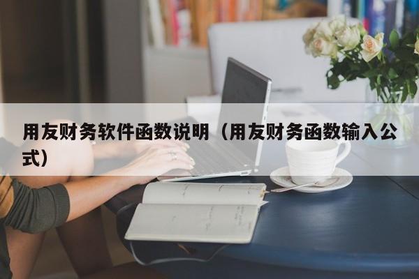 用友财务软件函数说明（用友财务函数输入公式）