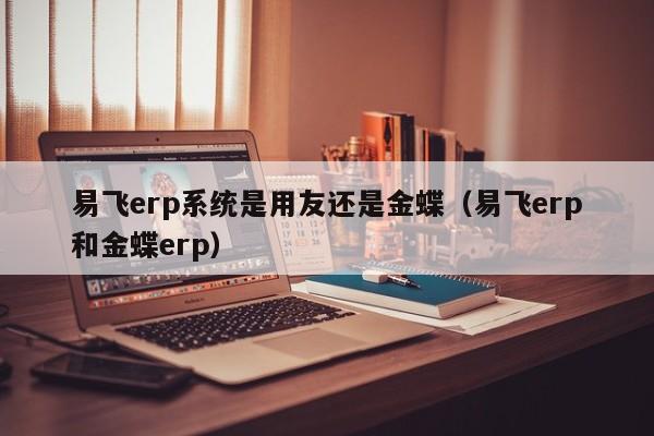 易飞erp系统是用友还是金蝶（易飞erp和金蝶erp）