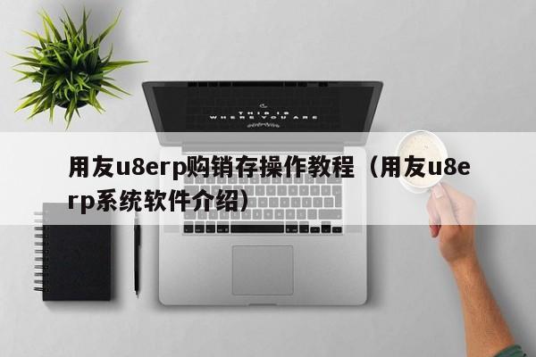 用友u8erp购销存操作教程（用友u8erp系统软件介绍）