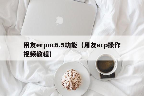 用友erpnc6.5功能（用友erp操作视频教程）