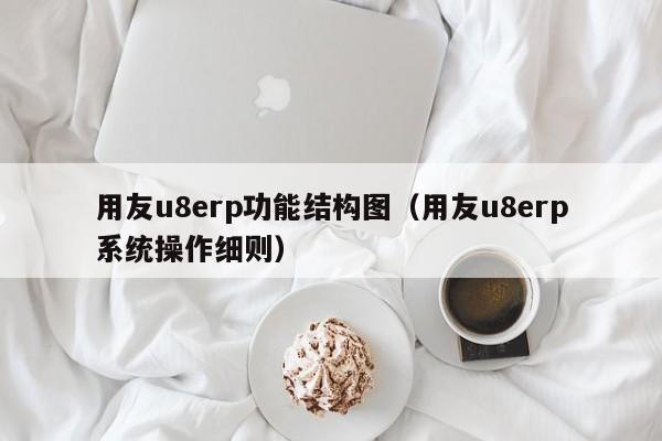 用友u8erp功能结构图（用友u8erp系统操作细则）