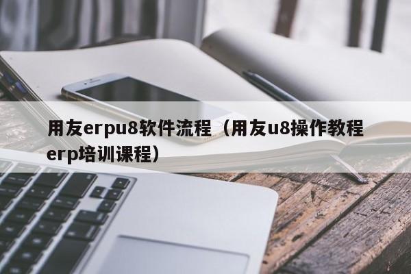 用友erpu8软件流程（用友u8操作教程erp培训课程）