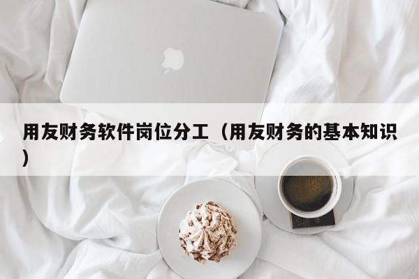 用友财务软件岗位分工（用友财务的基本知识）