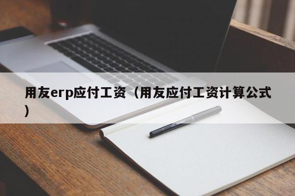 用友erp应付工资（用友应付工资计算公式）