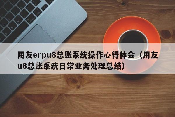 用友erpu8总账系统操作心得体会（用友u8总账系统日常业务处理总结）