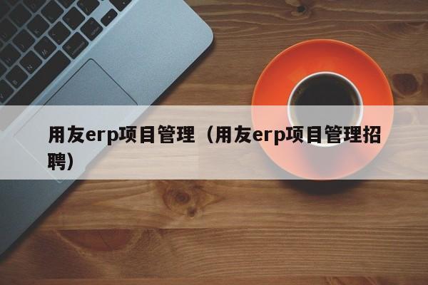 用友erp项目管理（用友erp项目管理招聘）