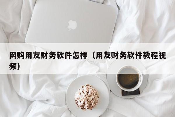 网购用友财务软件怎样（用友财务软件教程视频）